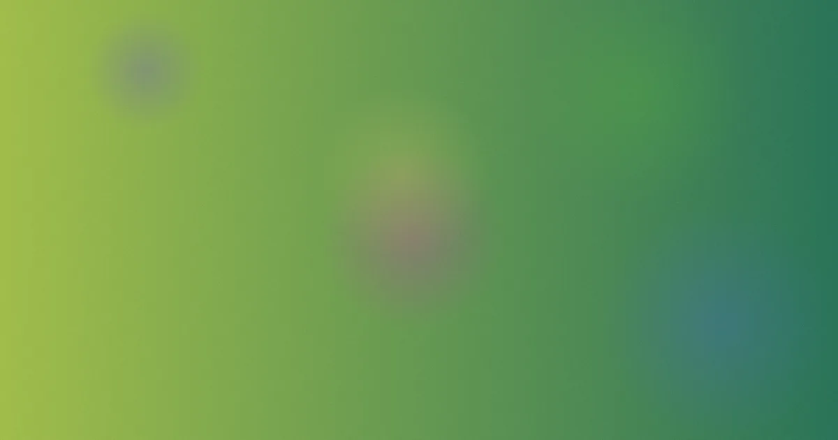 星空动漫对比：一次选片复盘